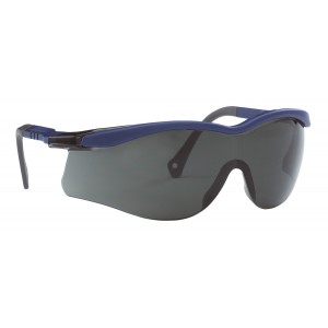 Honeywell veiligheidsbril The Edge T5600, blauw montuur, smoke lens (908311)   