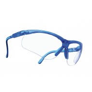 MSA veiligheidsbril Perspecta 010, heldere lens, Sightgard-coating (10045642)   